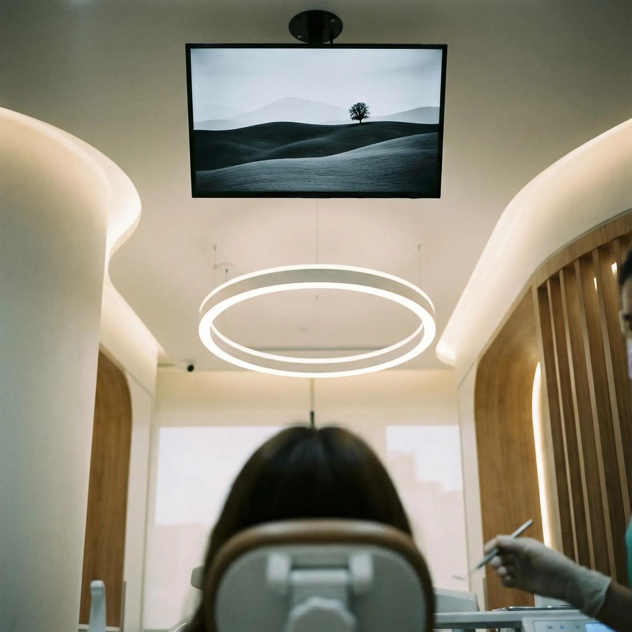 Calming ceiling screen with nature view